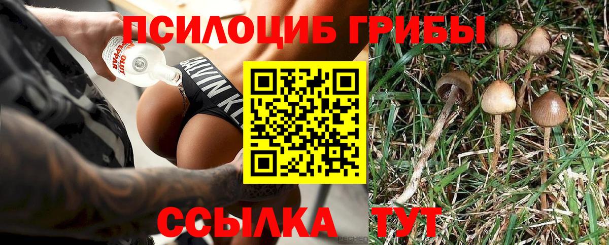 Воронеж  Псилоцибиновые грибы прущие грибы  Вход с VPN 