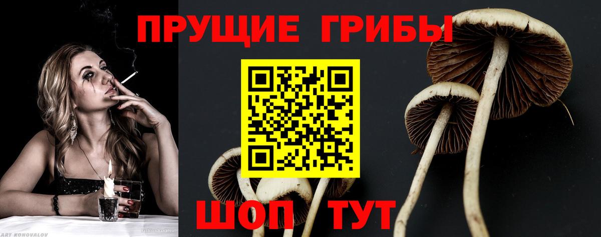 Псилоцибиновые грибы мухоморы Воронеж